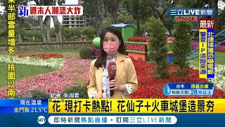 #三立最新 台北士林官邸花海綻放\