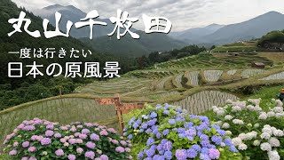 【三重県ドライブ】丸山千枚田の虫おくり | 日本棚田百選に選ばれた棚田は本当に美しかった！| 奈良県 道の駅吉野路黒滝・上北山【vlog】