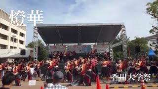 香川大学よさこい連風華 2024香川大学祭 12代目 2023年度演舞『燈華』