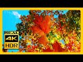 4K HDR Autumn Landscapes 🍁 - Relaxing Music & Meditation Screensaver