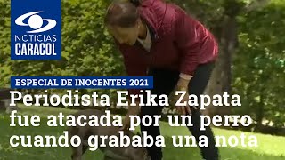 Periodista Erika Zapata fue atacada por un perro cuando grababa una nota | Especial de inocentes