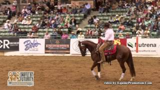 ThisCatsAMasterPiece ridden by Brandon Buttars  - 2016 NRCHA Snaffle Bit Futurity (Cow-FINALS)