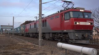 東北本線 白坂駅 白坂踏切 ＥＨ５００-３８ ３０５８レ ＥＨ５００-２３ ４０５２レトヨロン 通過 ノーカット 2022.02.15