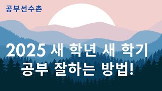 새학년 새학기 공부 잘하는 법! (중학생, 고등학생 필독)