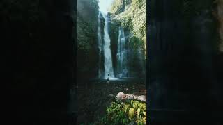 Fiji Water falls at Bali, Indonesia | Wanderer Memories | Subscribe for more videos #shorts