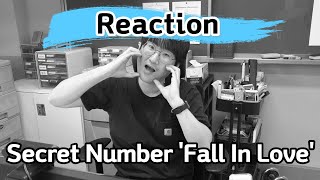 Download 초등학교 선생님의 시크릿 넘버 폴인러브 리액션(SECRET NUMBER 'Fall In Love' Reaction of Elementary School Teacher) mp3