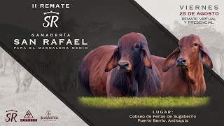 II REMATE - GANADERÍA SAN RAFAEL