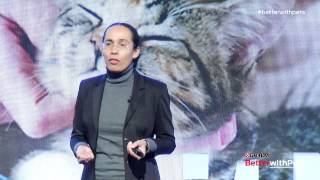 Understanding Cat Behavior: Dr. Sandra Lyn