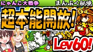 【ゆっくり実況】金猿帝のクウが対古代最強に!? Lev60にして アヒージョ高原 から ルーロウ丘陵 まで 真レジェンドストーリー攻略【無課金】【にゃんこ大戦争】