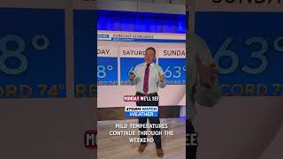 Mild Temperatures Continue