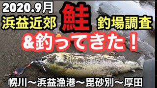 [鮭釣り]2020.9月浜益近郊鮭釣場調査\u0026釣ってきた！