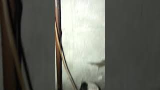 Disaster water meter leaking