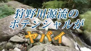 狩野川源流ルアーフィッシング2019.9.5