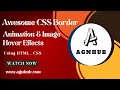 Awesome CSS Border Animation & Image Hover Effects | Html CSS#design #tutorial #coding #viralvideo