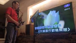 🎷酒杯情（ 日本演歌 ）🍶 台語老歌 💎 Sax_Max 小杜哥 Alto 🎷🗓️ 2025.NO：236. 歡迎 按讚 訂閱 分享.