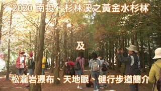 2020南投杉林溪之黃金水杉林及松瀧岩瀑布、天地眼、健行步道簡介