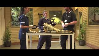 Moulton College - Animal Welfare Courses