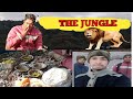 jungle book | amaging jungle | uk pahadi life