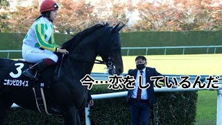 岸和田Ｓの本馬場入場もスター須貝尚介氏が瘦せていて気になって仕方ないｗｗｗ