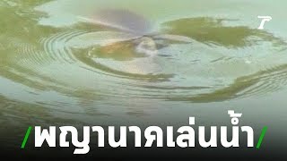 ฮือฮา! ชาวบ้านแห่มุงดู เชื่อนาคโผล่ขึ้นเล่นน้ำ | 19-07-62 | ตะลอนข่าว