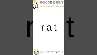 VocabDaily Learn Vocabulary Fast with Audio Flashcards! rat #VocabDaily #English #shorts