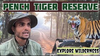 Exploring The Majestic Pench Tiger Reserve #wildlife #madhyapradesh #penchtigerreserve #tiger