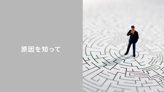 森林破壊によって動物など生態系はどんな危機に面しているの？