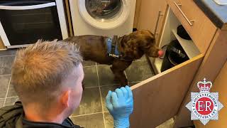 Gloucestershire Constabulary seize drugs and weapons following warrants in Cheltenham