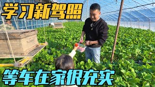 提新房车前增驾，回到山东老家断更的日子里，每天也很充实【家和远方的旅行】