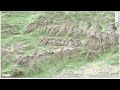 Visualizing terrain in 3D with Leafmap and MapLibre