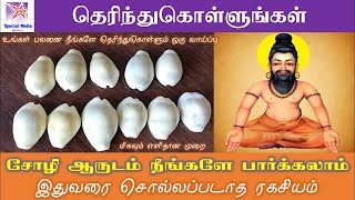 சோழி ஆருடம் நீங்களே பார்க்கலாம் | இதுவரை சொல்லப்படாத ரகசியம் | எதிர்கால பலன் அறிதல் |Choli Prasannam