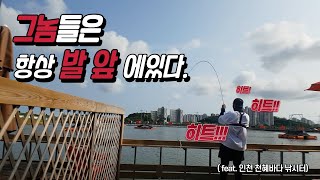 드렉을 차고나가는 소리에 심장이 두근두근 (feat. 천혜바다낚시터)