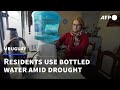 'It's disgusting': Uruguayans live with salty tap water amid historic drought | AFP