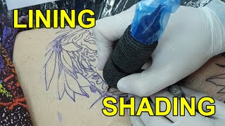 28# How lining and shading tattoo / part #1 linije i senke tigar tetovaza