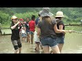 mcas iwakuni residents get down and dirty in the rice fields