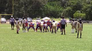 PCJ VS BARTOW JV (2024)