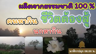 ชมบรรยากาศฟ้าหลังฝน\u0026พระอาทิตย์ขึ้น