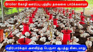 Broiler கோழி வளர்ப்பு பற்றிய தகவலை பார்க்கலாமா | broiler chicken farming tamil | vivasaya nanban