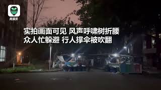 实拍成都6 7级大风来袭：狂风呼啸树折腰 行人雨伞秒被吹翻,社会,民生,好看视频