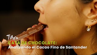 Cata de Chocolate: Analizando el Cacao Fino de Santander  - TvAgro por Juan Gonzalo Angel