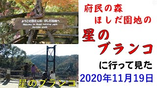 紅葉が綺麗な「ほしだ園地」の星のブランコ 2020/11/19