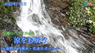 涼をお届け　～秦野市内湧水・名水スポット～