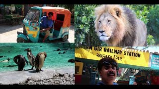 LONDON TOUR PART -8 -ZOO (Part-2) || ലണ്ടനിലെ ഓട്ടോറിക്ഷാ, ഇന്ത്യന്‍ ഗീര്‍വനത്തിലെ  സിംഹം