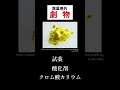 毒劇物取扱者試験 クロム酸カリウム 性質