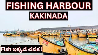 Fishing Harbour Kakinada ||  Morning time Fish market ||  Fish Cheap Here || Fish Auction