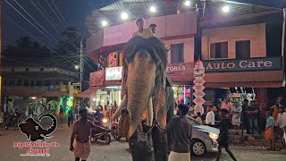 അക്കരമ്മേൽ പ്രസാദ് ഇന്ന് ചിറക്കൽ നേർച്ചക്ക്😍 Akkarammel Prasad Latest