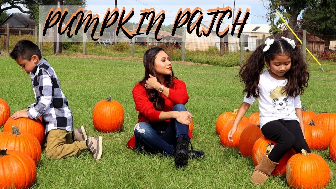 Pumpkin Patch Vlog Youtube