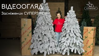 Відеоогляд литі засніжені суперзірки від Urbantree