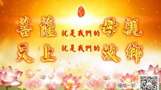 ✨🎵 🎵【师父音频】 睡前一听✨［白话佛法］✨菩萨就是我们的母亲，天上就是我们的故乡