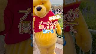 【プーさんが優しすぎて泣ける】 #ディズニー#pooh #disney #TDL#disneyland #shorts #winniethepooh#tokyodisneyresort #プーヲタ